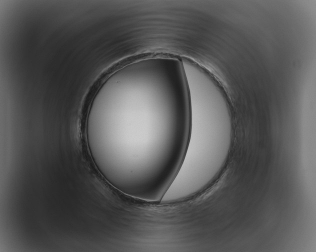 X0000089900880200706281133