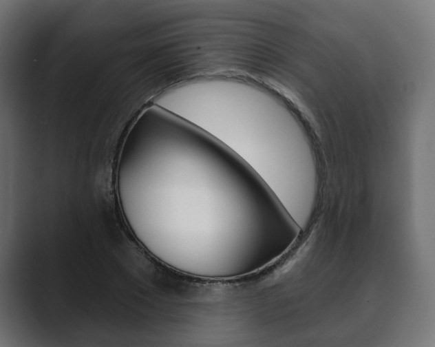 X0000089900881200706281133