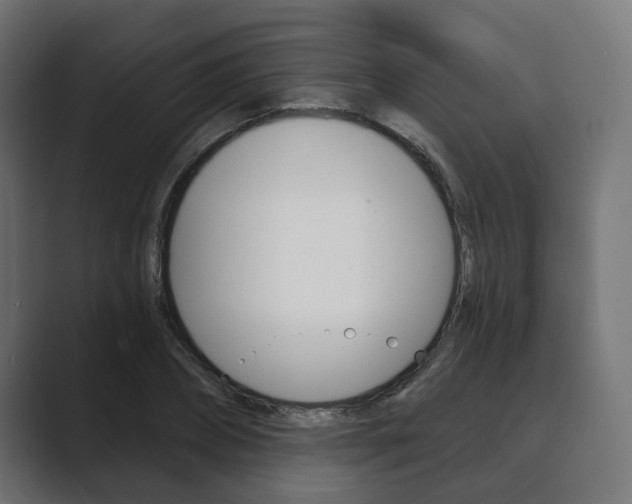 X0000089900882200706281133