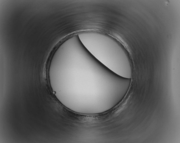 X0000089900883200706281133