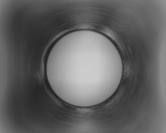 X0000089900886200706281133