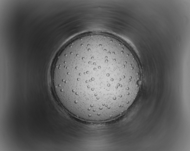 X0000089900887200706281133