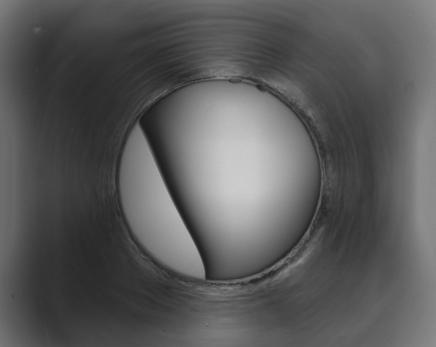 X0000089900889200706281133
