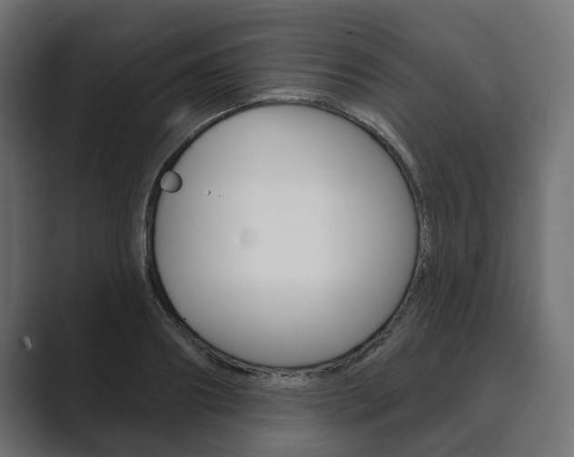 X0000089900890200706281133