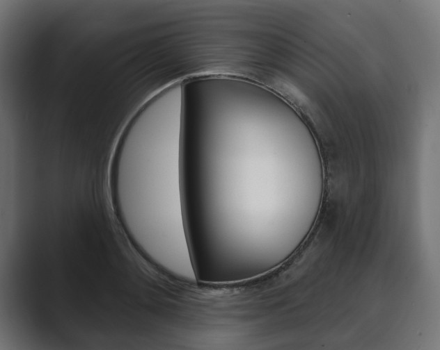 X0000089900892200706281133