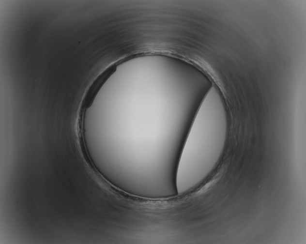 X0000089900893200706281133