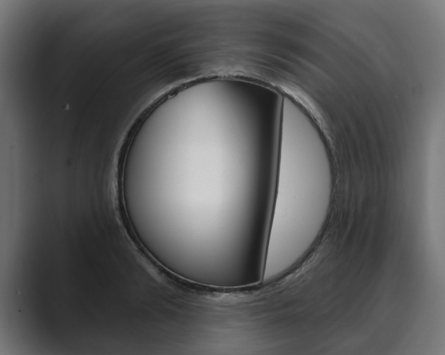 X0000089900894200706281133