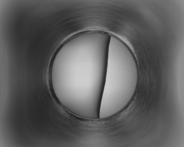 X0000089900895200706281133