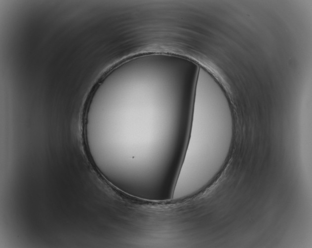 X0000089900896200706281133