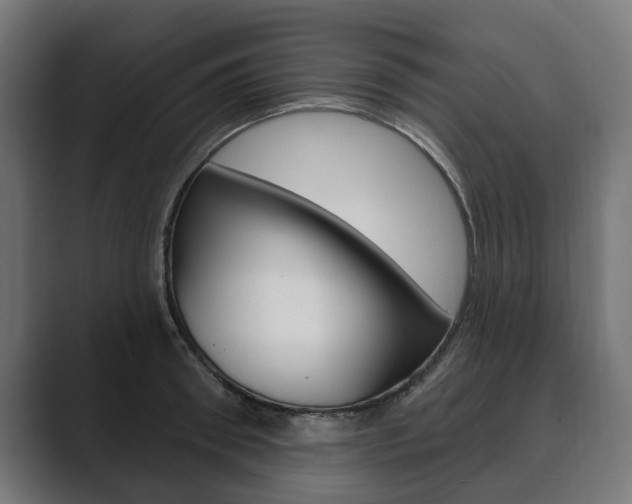 X0000089900898200706281133