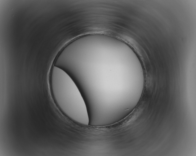 X0000089900899200706281133