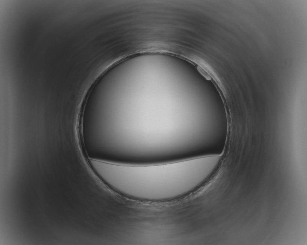 X0000089900901200706281133