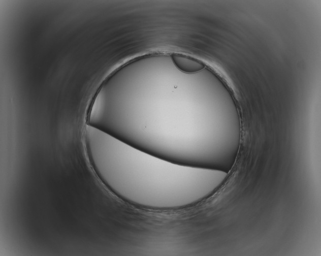 X0000089900903200706281133