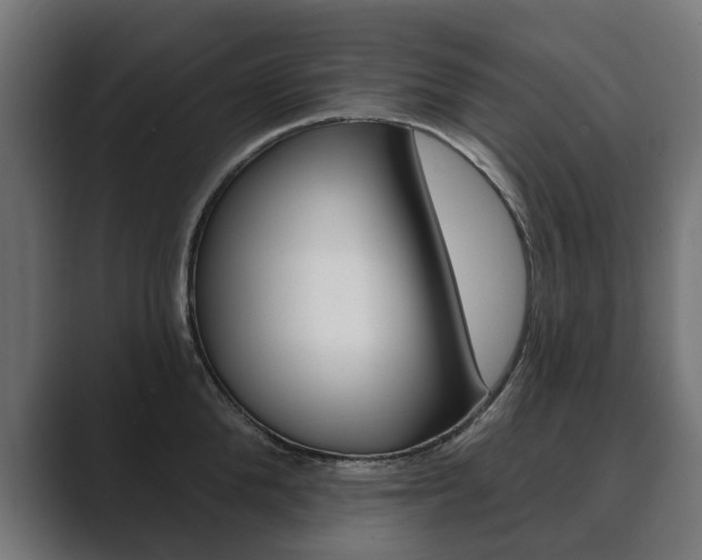 X0000089900904200706281133