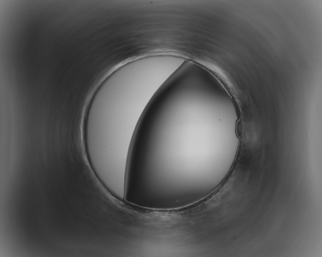 X0000089900910200706281133