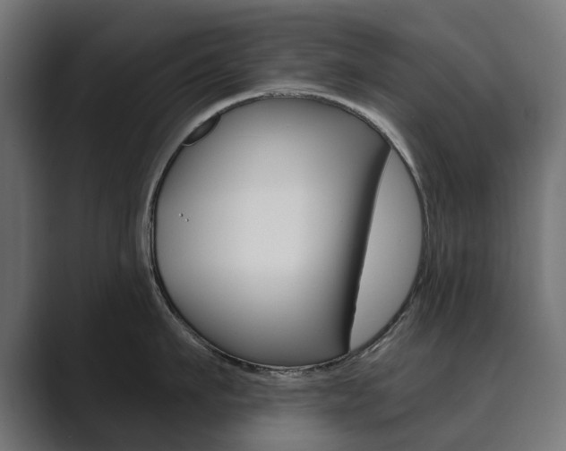 X0000089900911200706281132