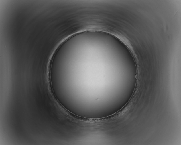 X0000089900912200706281132