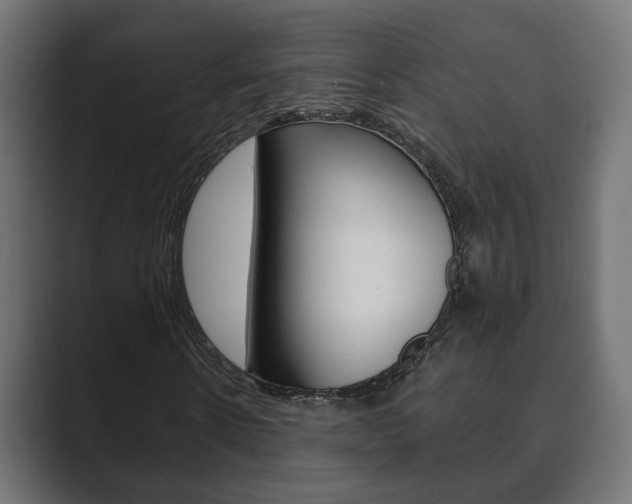 X0000089900914200706281132