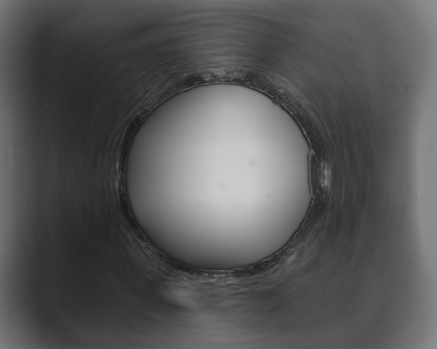 X0000089900915200706281132