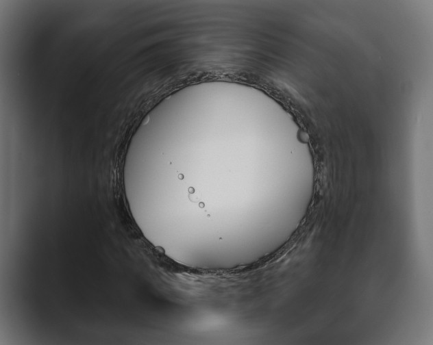 X0000089900917200706281132