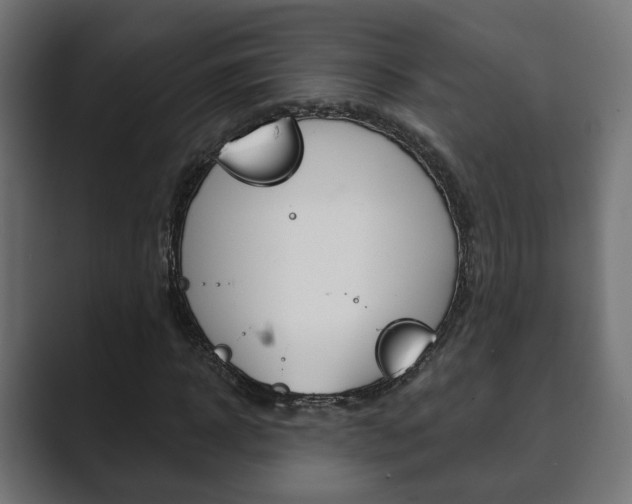 X0000089900918200706281132