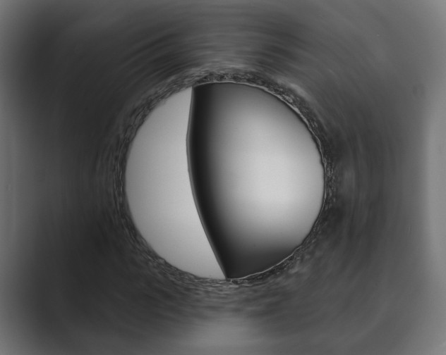 X0000089900919200706281132