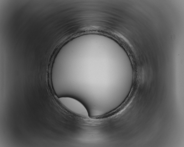 X0000089900921200706281132