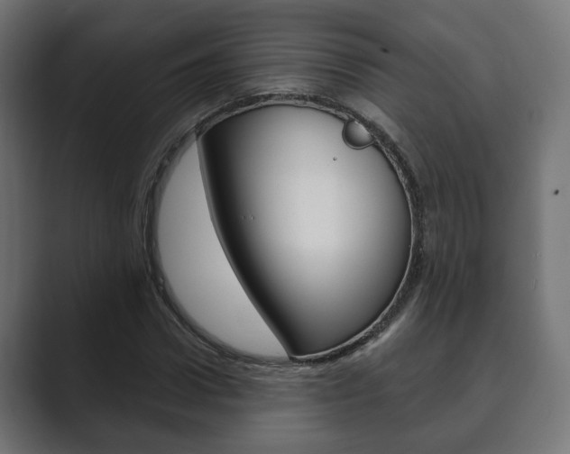 X0000089900922200706281132