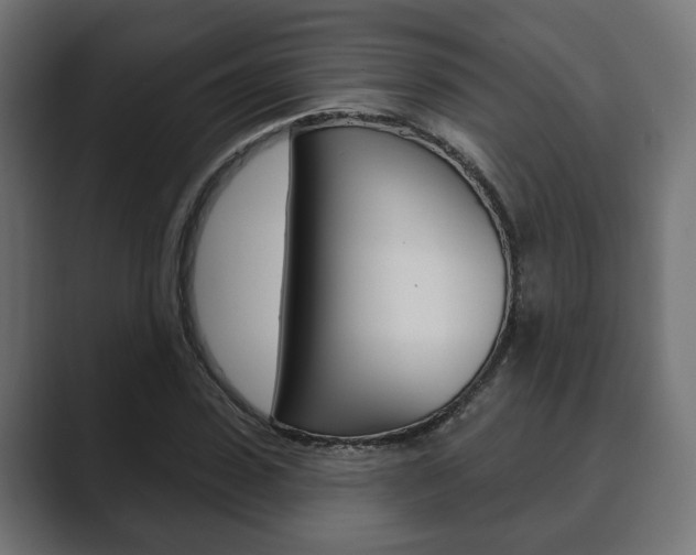 X0000089900923200706281132