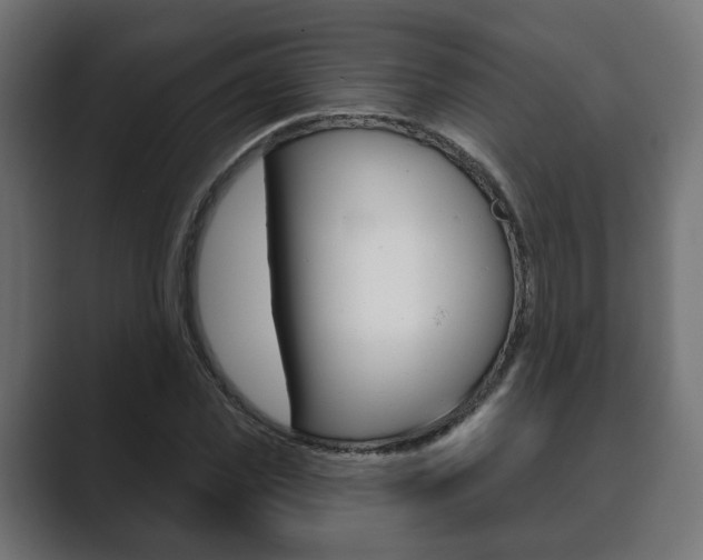 X0000089900925200706281132