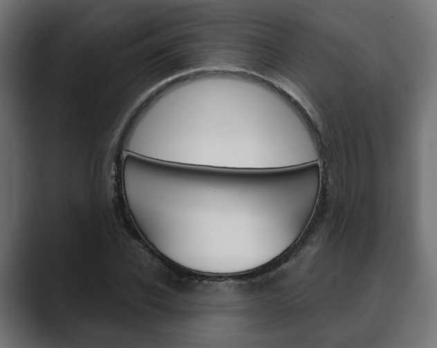 X0000089900926200706281132