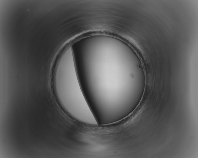 X0000089900927200706281132