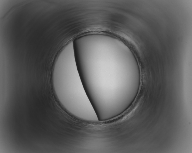 X0000089900929200706281132