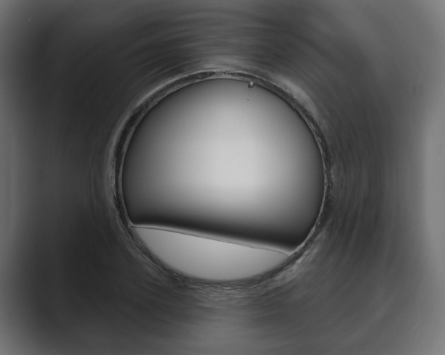 X0000089900931200706281132