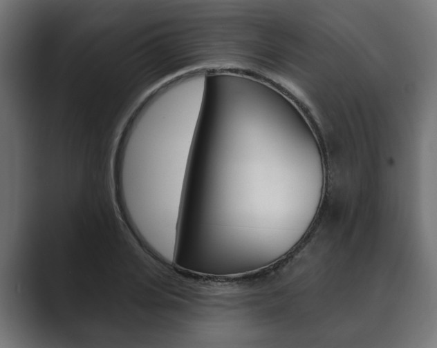 X0000089900935200706281132