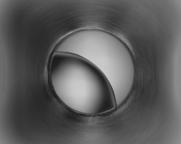 X0000089900936200706281132