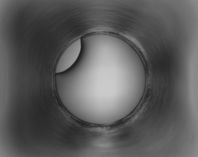 X0000089900937200706281132
