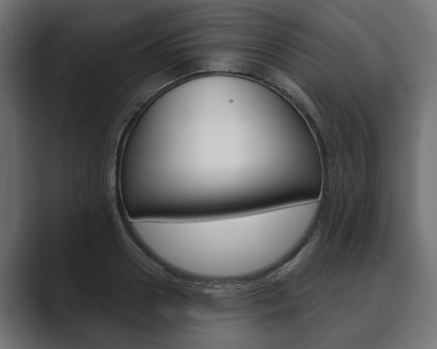 X0000089900938200706281132