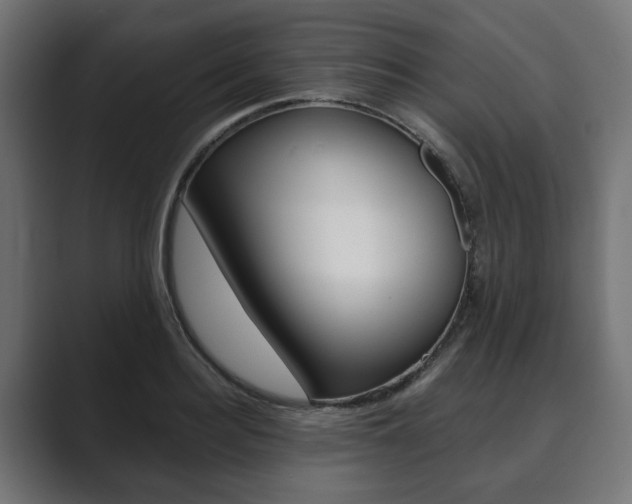 X0000089900940200706281132