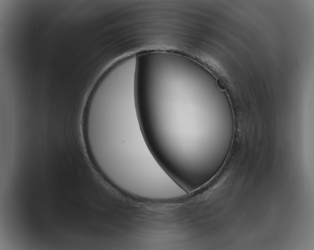 X0000089900942200706281132
