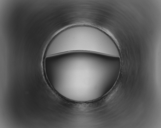 X0000089900943200706281132