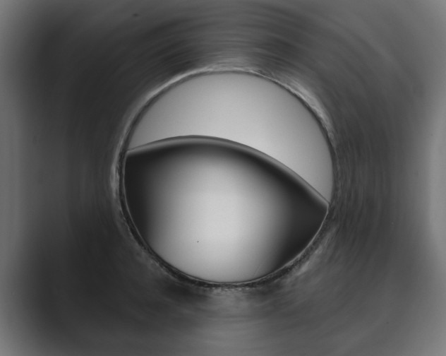 X0000089900944200706281132
