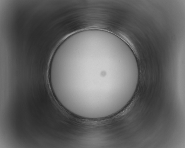 X0000089900948200706281132