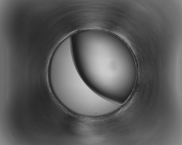 X0000089900949200706281132