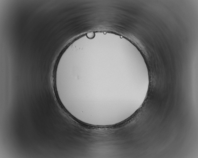 X0000089900950200706281132