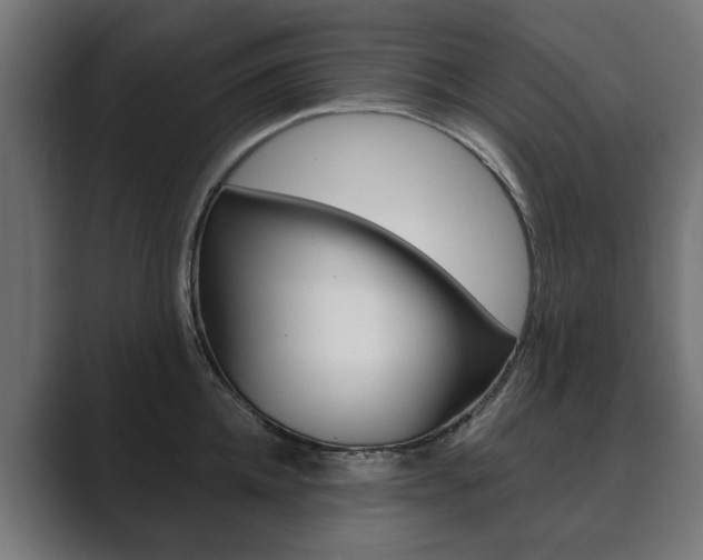 X0000089900952200706281132