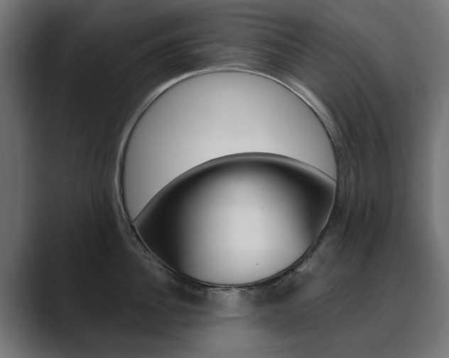 X0000089900956200706281132