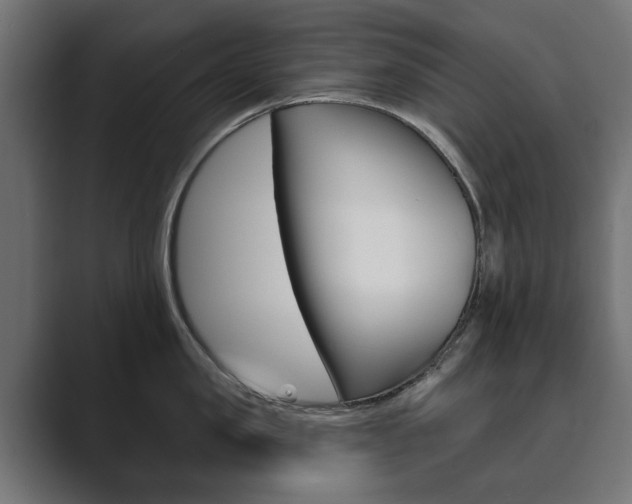 X0000089900957200706281132