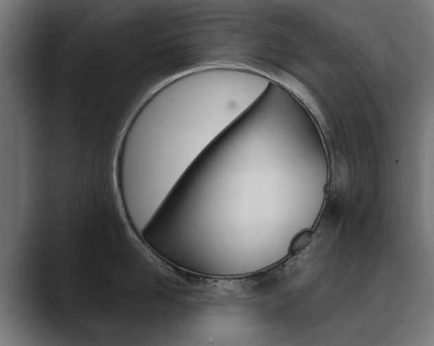 X0000089900958200706281132