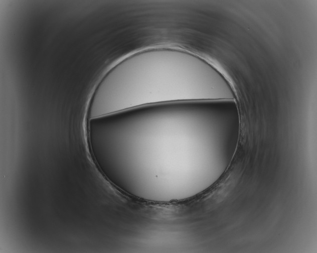 X0000089900959200706281132